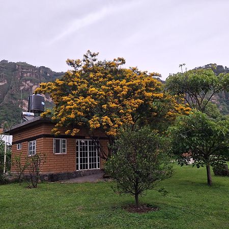 Posada Meztitla Tepoztlán Eksteriør billede
