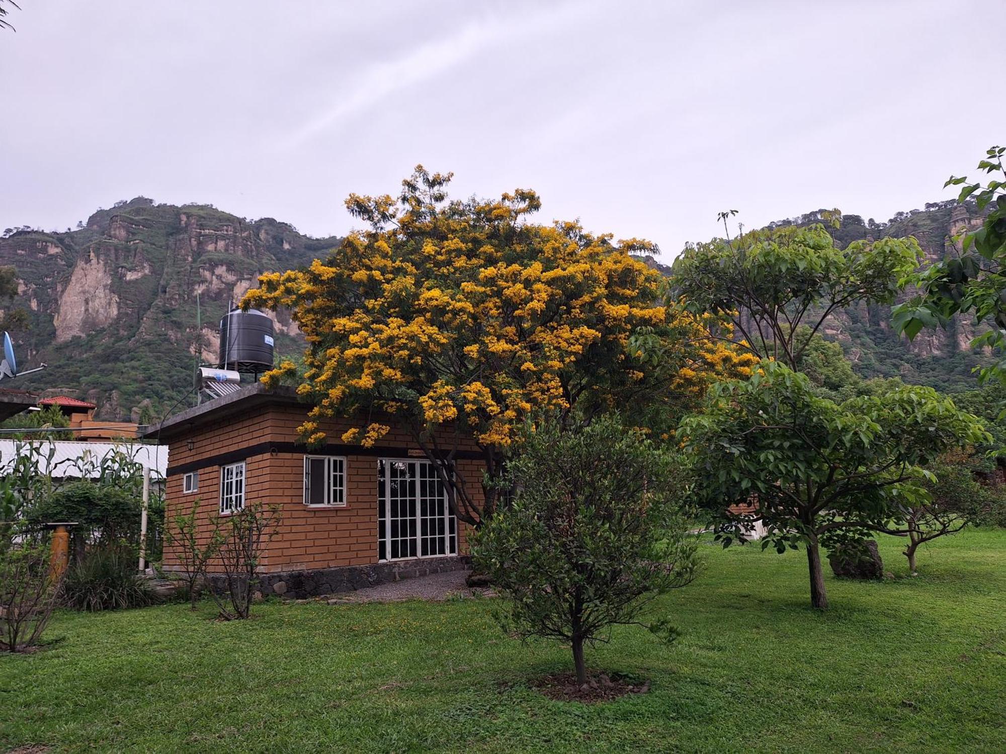 Posada Meztitla Tepoztlán Eksteriør billede