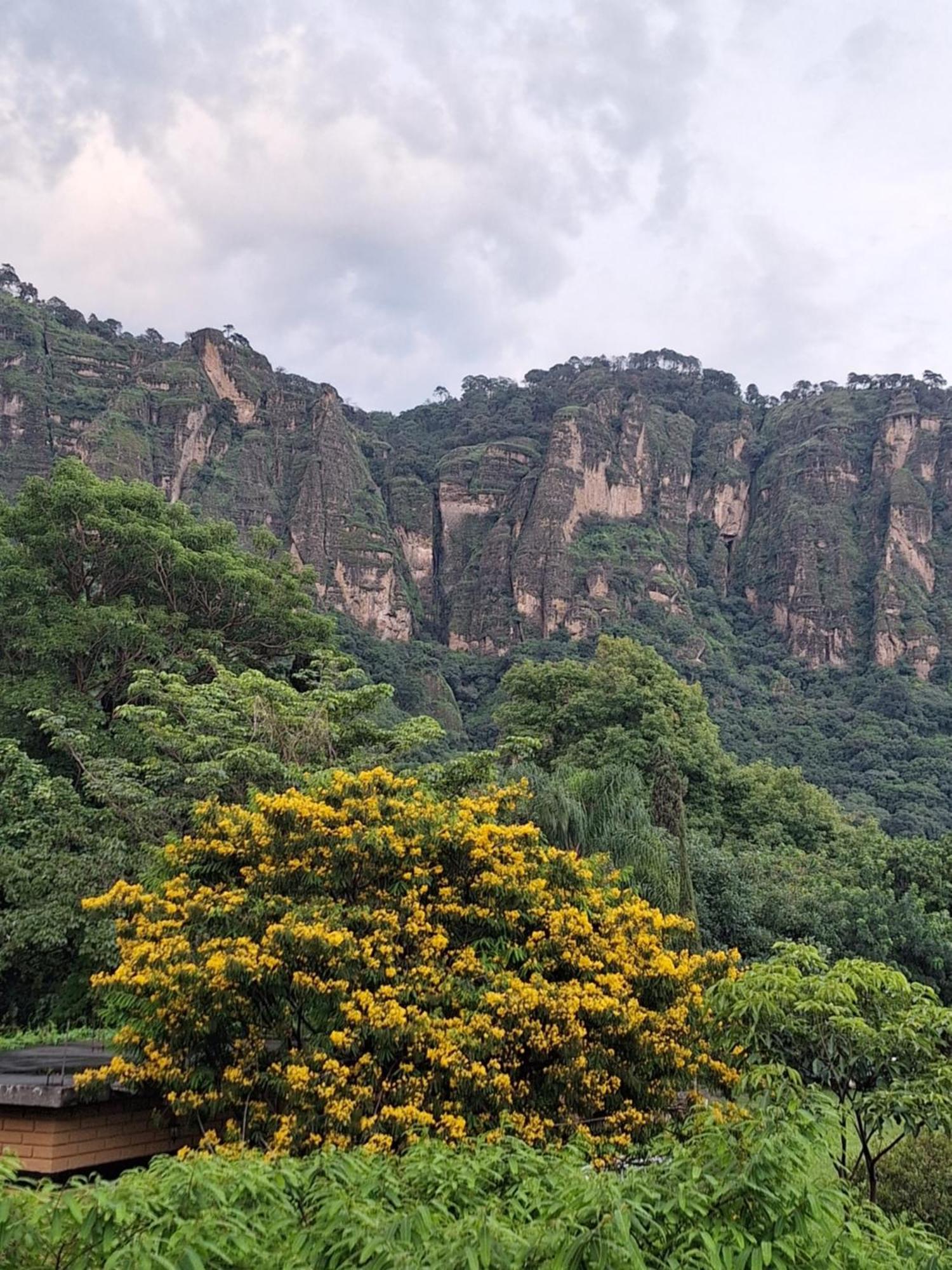 Posada Meztitla Tepoztlán Eksteriør billede